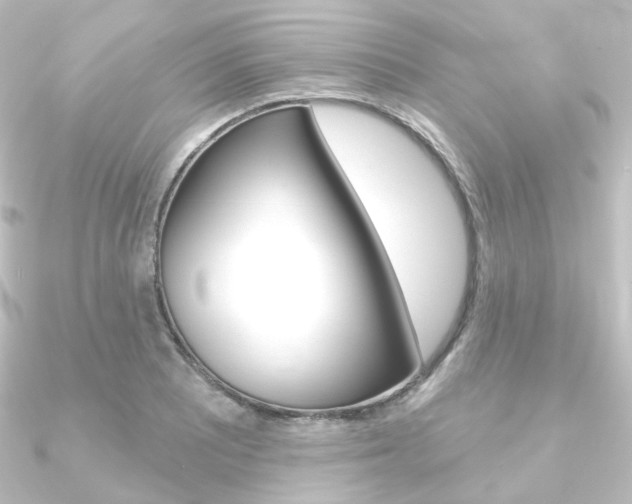 X0000090951081200708021056