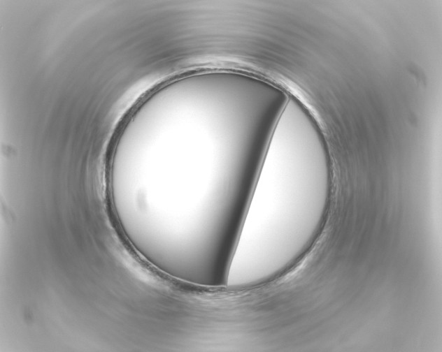 X0000090951082200708021056