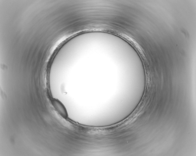 X0000090951083200708021056