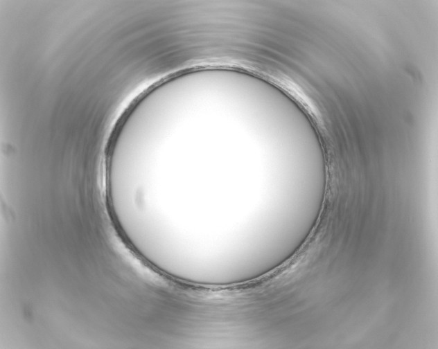 X0000090951084200708021056