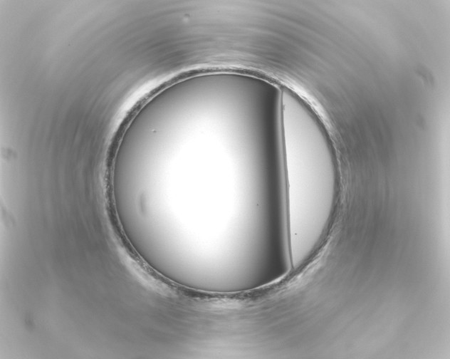 X0000090951085200708021056
