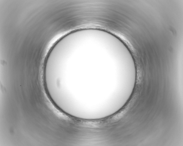 X0000090951086200708021056