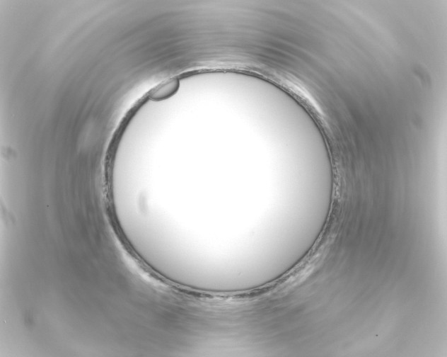 X0000090951087200708021056