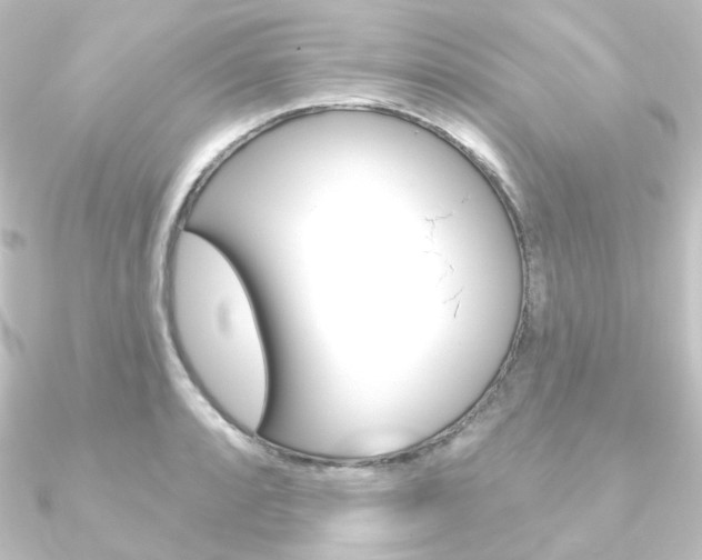 X0000090951088200708021056