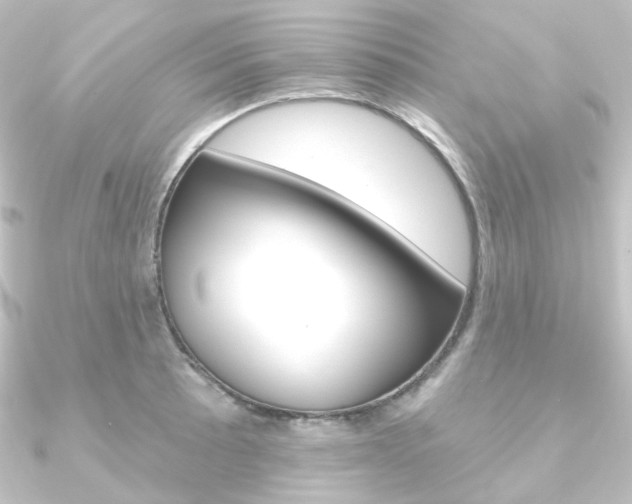 X0000090951089200708021056