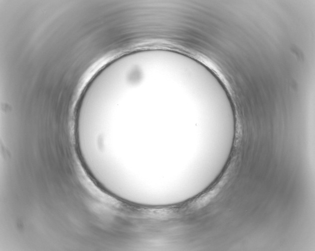 X0000090951090200708021056