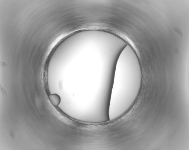 X0000090951091200708021056