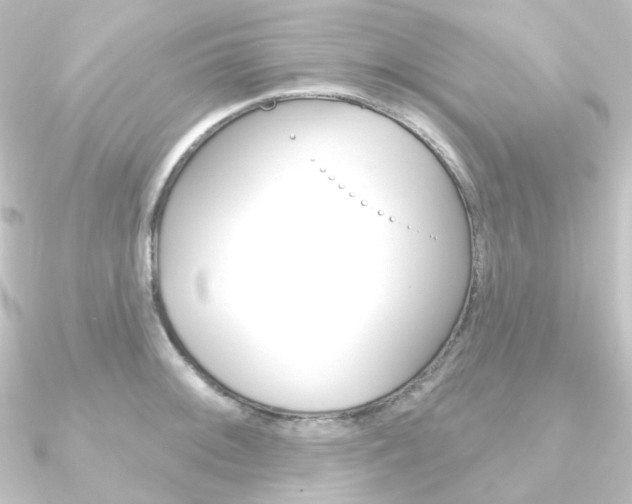 X0000090951092200708021056