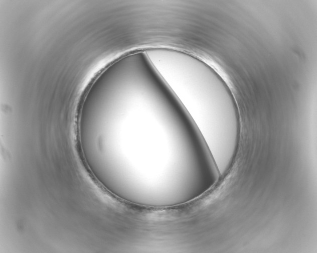 X0000090951093200708021056