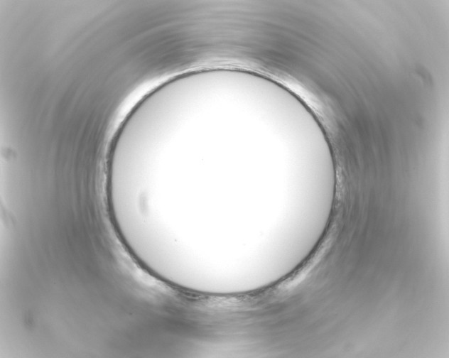 X0000090951094200708021056