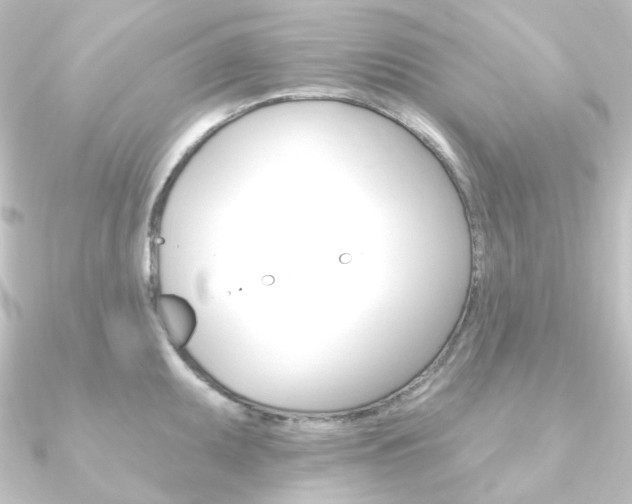 X0000090951095200708021056