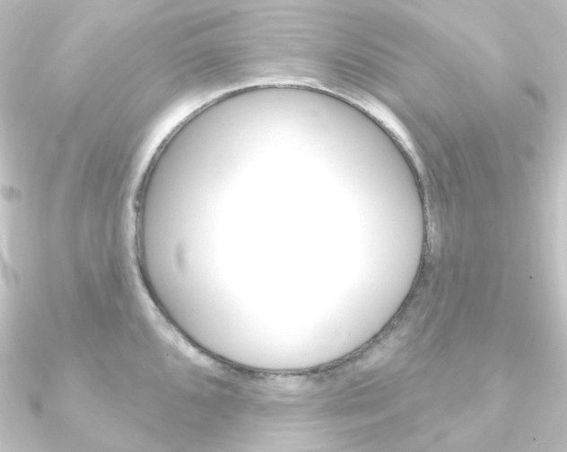 X0000090951096200708021056