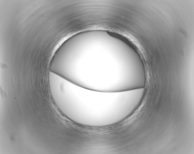 X0000090951097200708021056