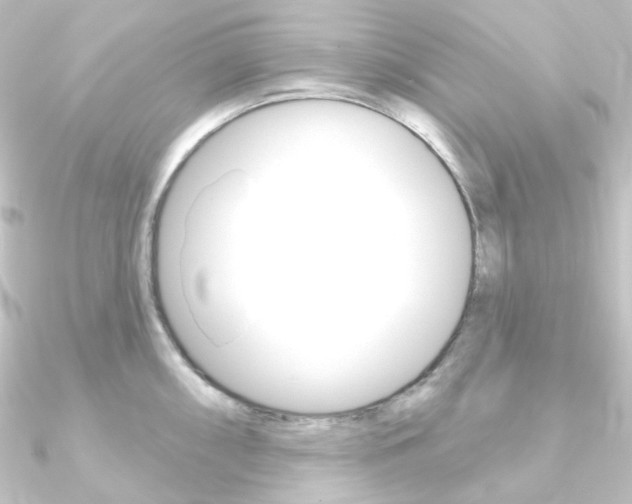X0000090951098200708021056