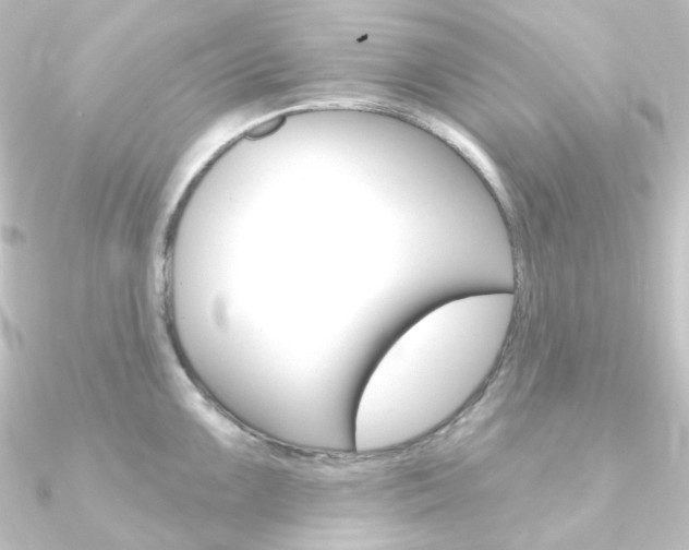 X0000090951099200708021056