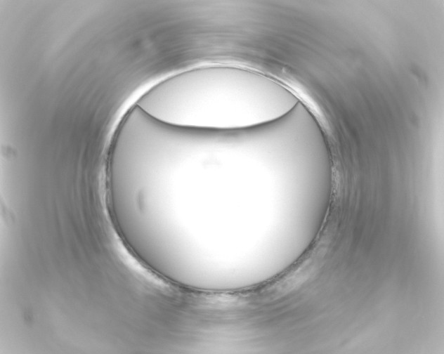 X0000090951100200708021056