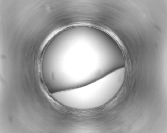 X0000090951101200708021056