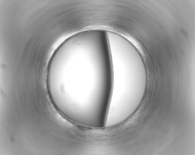 X0000090951102200708021056