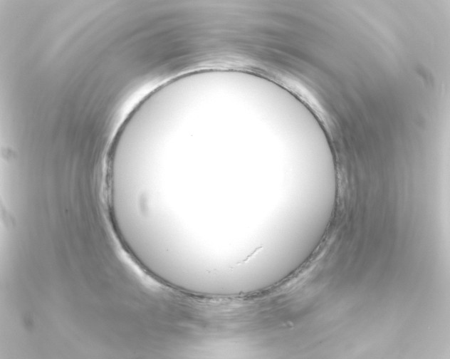 X0000090951103200708021056