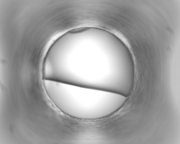 X0000090951104200708021056