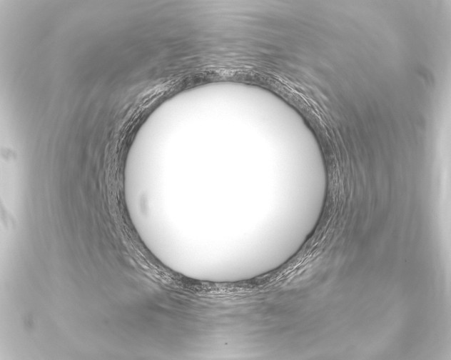 X0000090951105200708021055