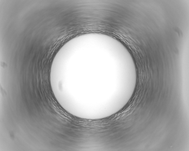 X0000090951106200708021055