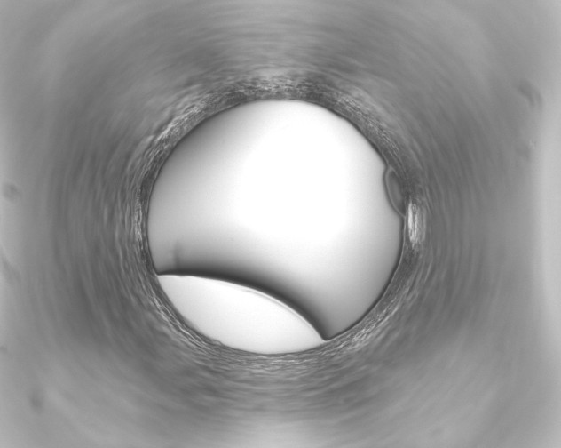 X0000090951107200708021055