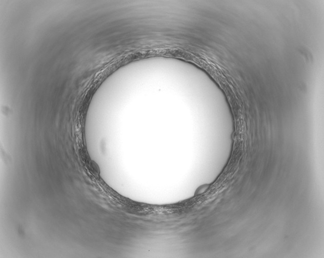 X0000090951109200708021055