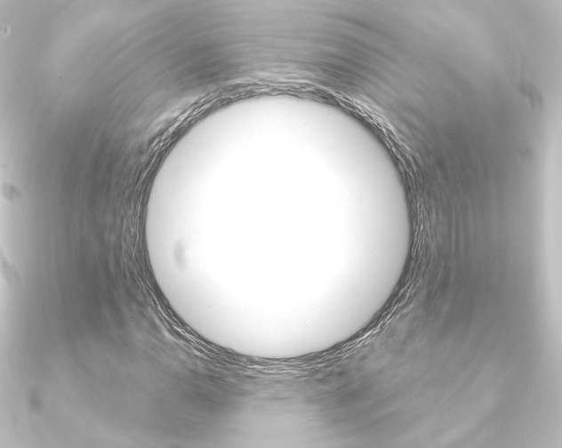 X0000090951110200708021055