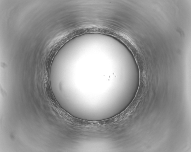 X0000090951111200708021055