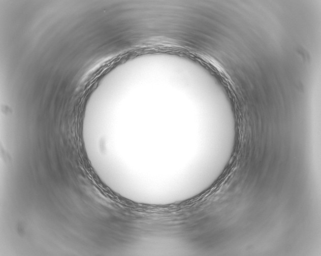 X0000090951112200708021055