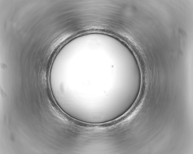 X0000090951113200708021055