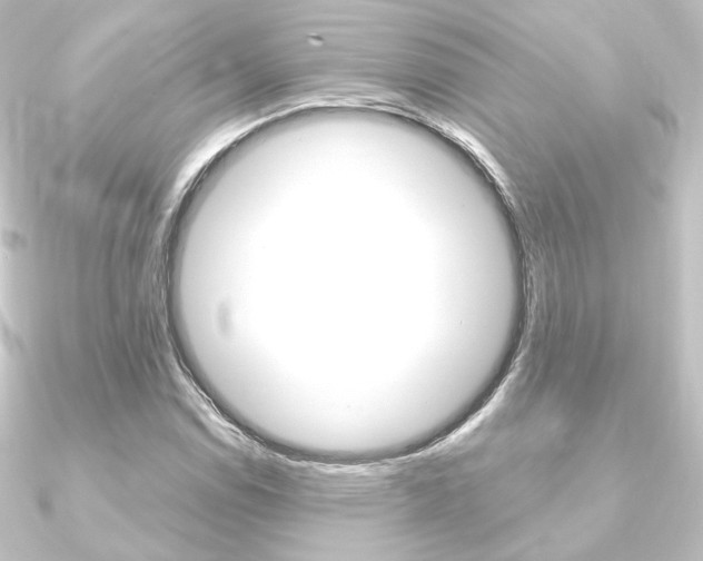 X0000090951114200708021055
