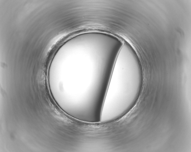 X0000090951115200708021055