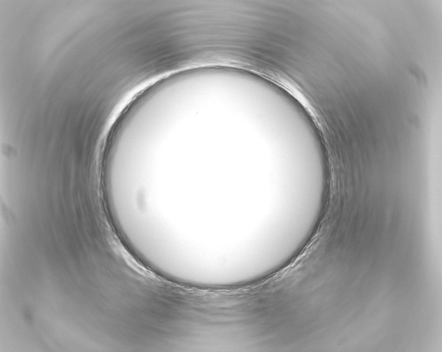X0000090951116200708021055