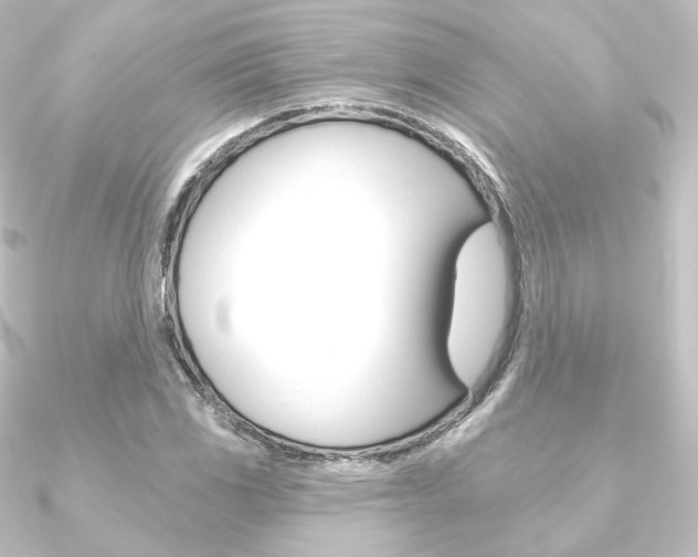 X0000090951117200708021055