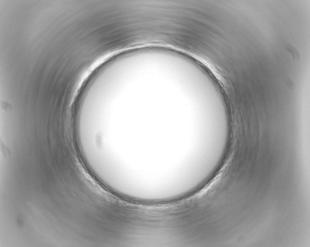 X0000090951118200708021055