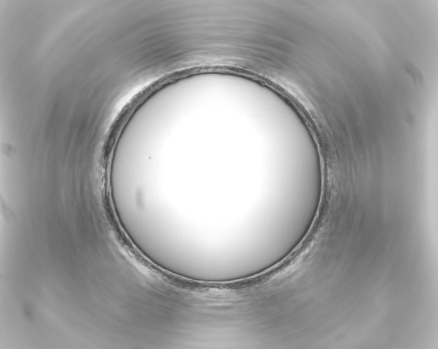 X0000090951119200708021055