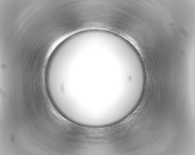 X0000090951120200708021055