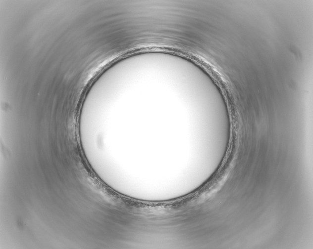 X0000090951121200708021055