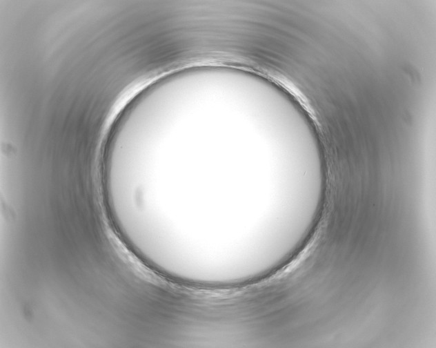 X0000090951122200708021055