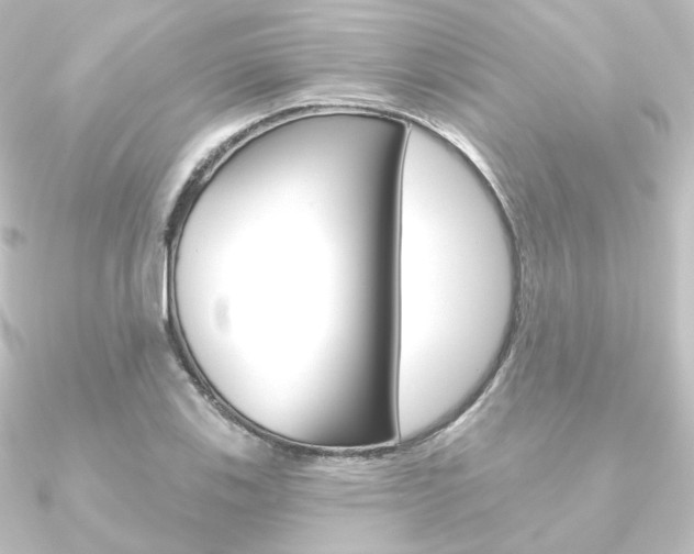 X0000090951123200708021055
