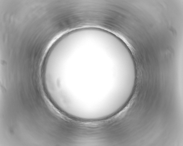 X0000090951126200708021056