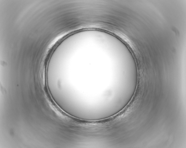 X0000090951127200708021056
