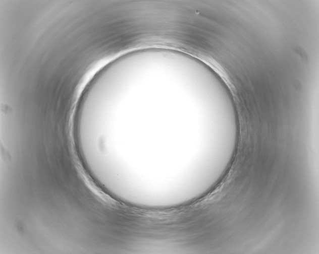 X0000090951128200708021056