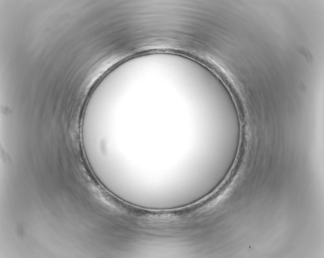 X0000090951129200708021056