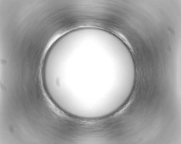 X0000090951130200708021056