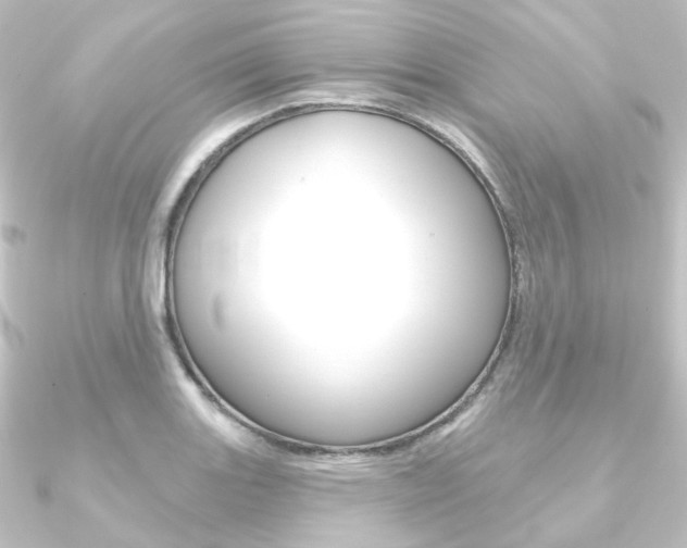 X0000090951131200708021056