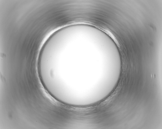 X0000090951132200708021056