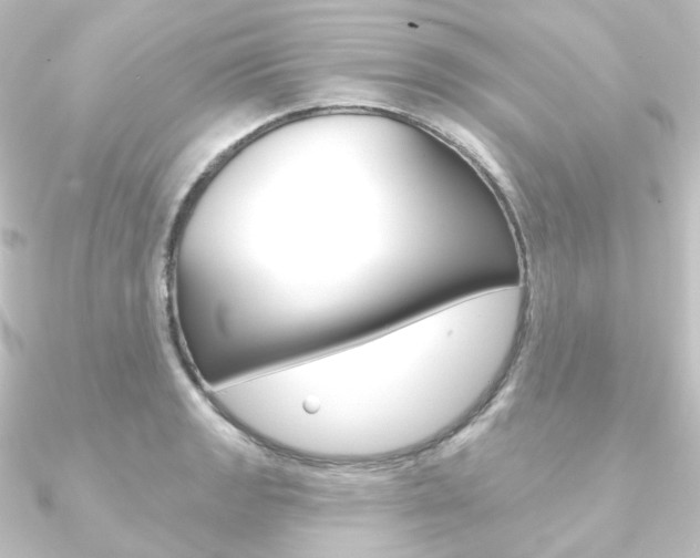 X0000090951133200708021056